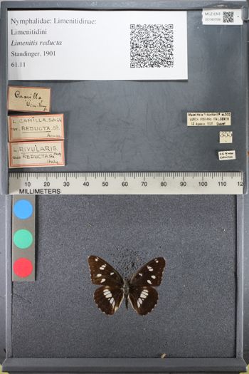 Media type: image;   Entomology 140709